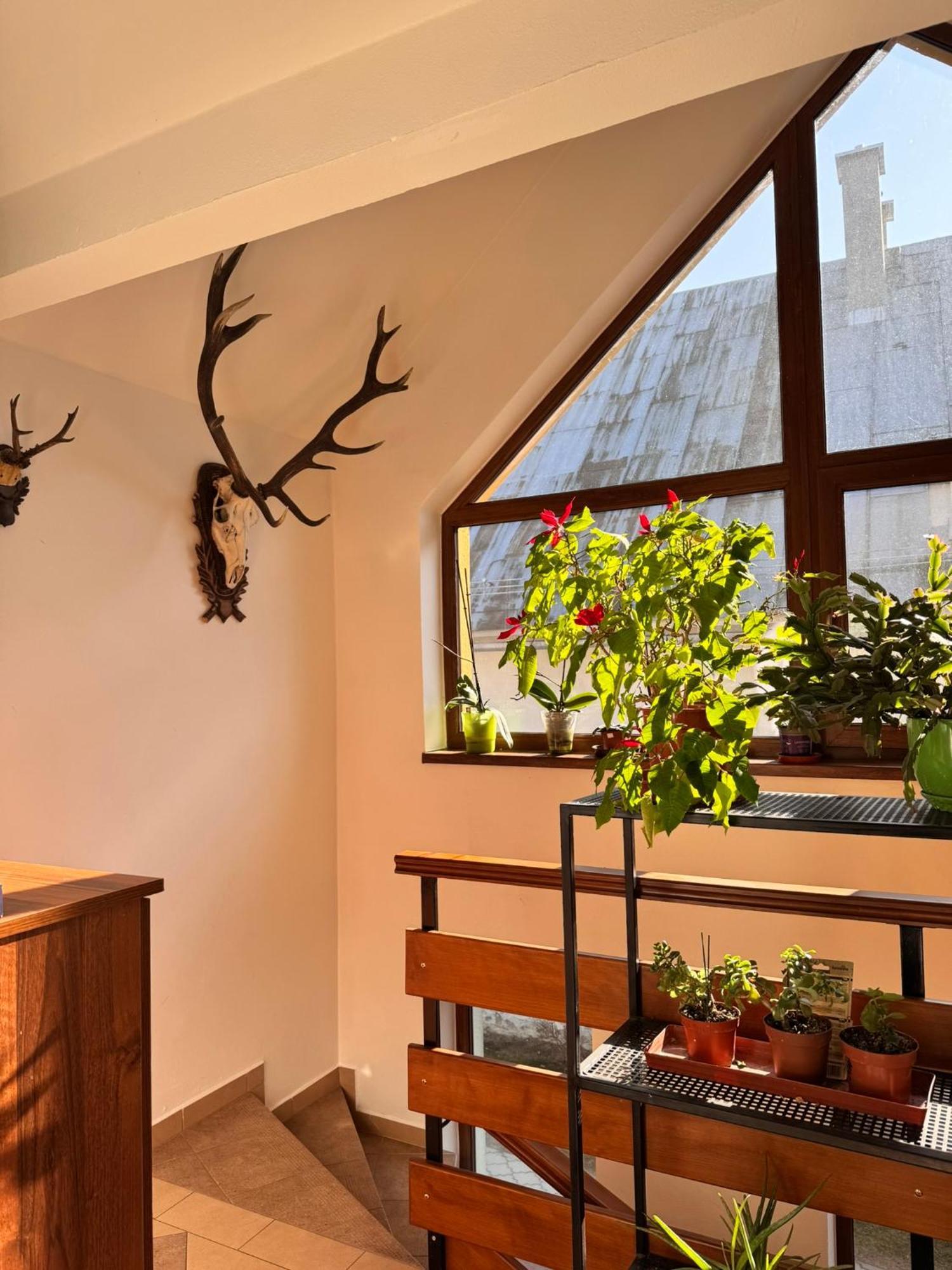 Apartmany Kenka Spisska Stara Ves Exterior foto