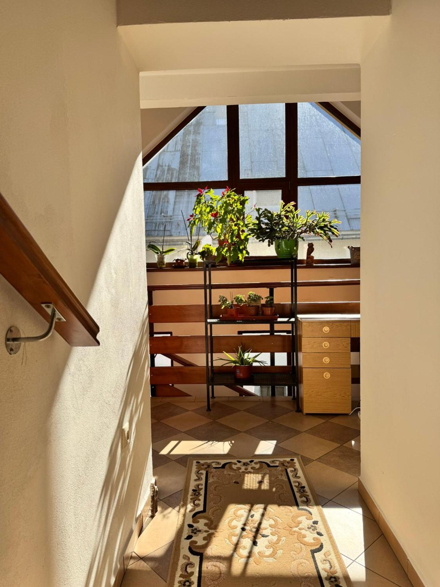 Apartmany Kenka Spisska Stara Ves Exterior foto
